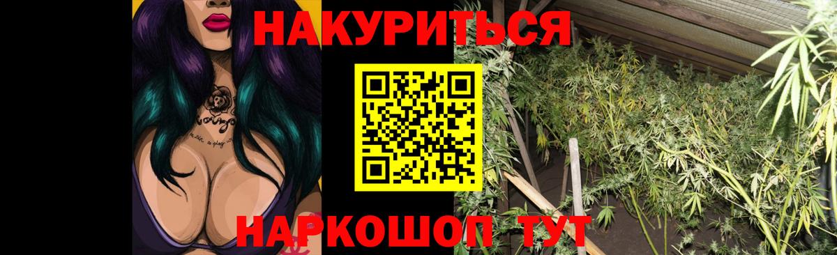 Бошки марихуана планчик Корсаков